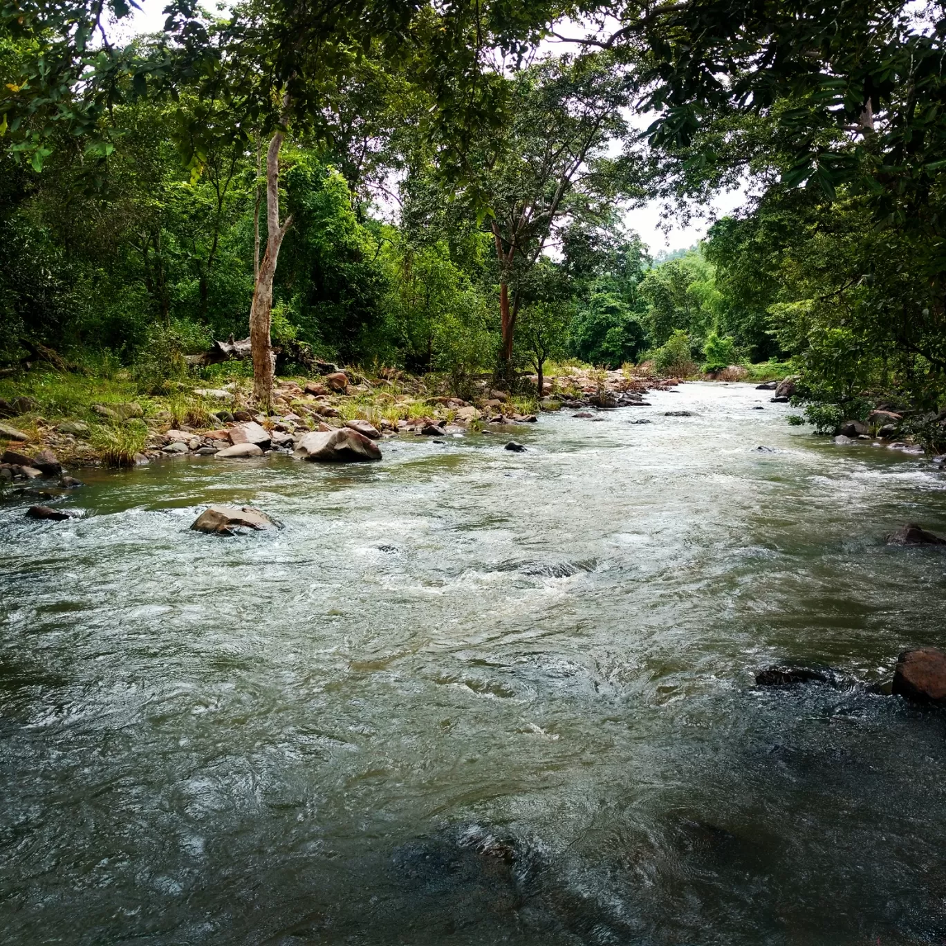 Photo of Tikarpada Wildlife Sanctuary By Vishal Singh