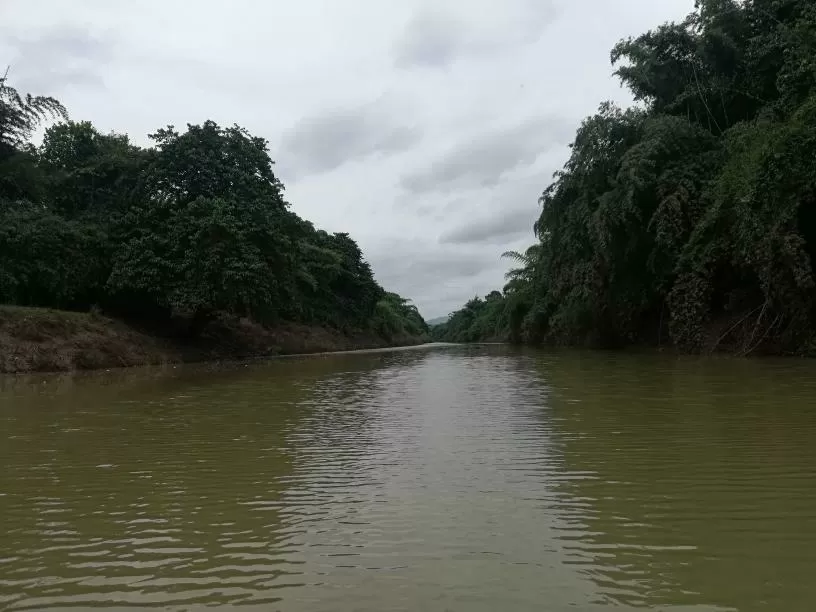 Photo of Tikarpada Wildlife Sanctuary By Vishal Singh