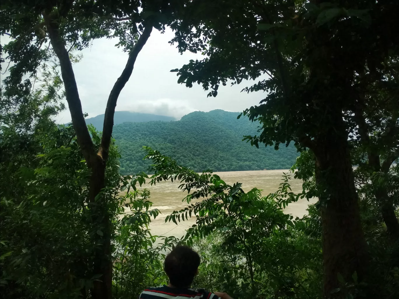 Photo of Tikarpada Wildlife Sanctuary By Vishal Singh