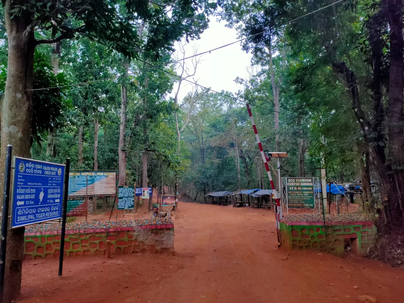 Photo of Similipal National Park By Vishal Singh