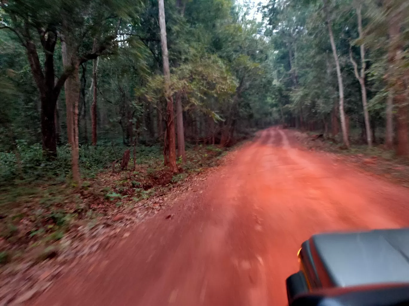 Photo of Similipal National Park By Vishal Singh