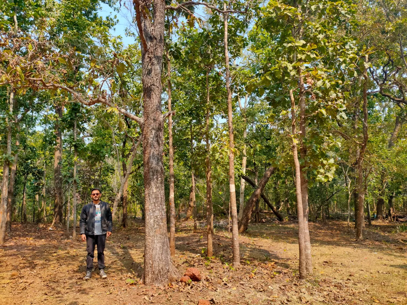 Photo of Similipal National Park By Vishal Singh