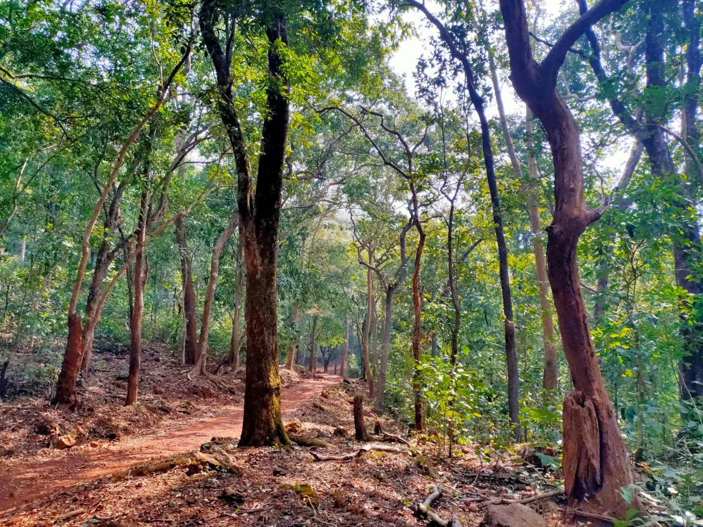 Photo of Similipal National Park By Vishal Singh