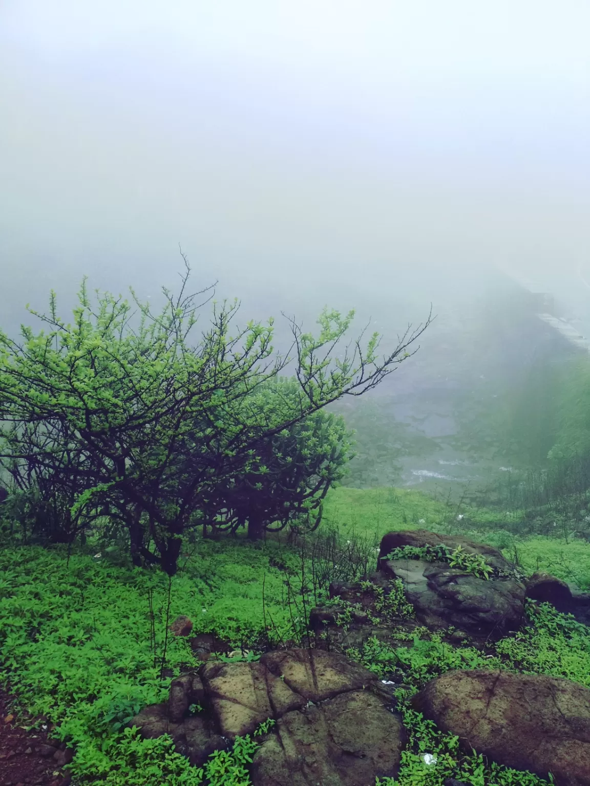 Photo of Tiger Point By Urvashi Giradkar