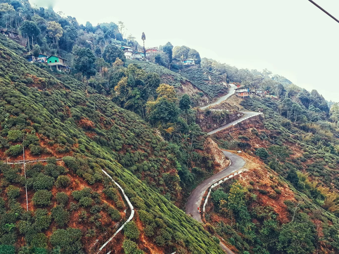 Photo of Darjeeling By Debika 