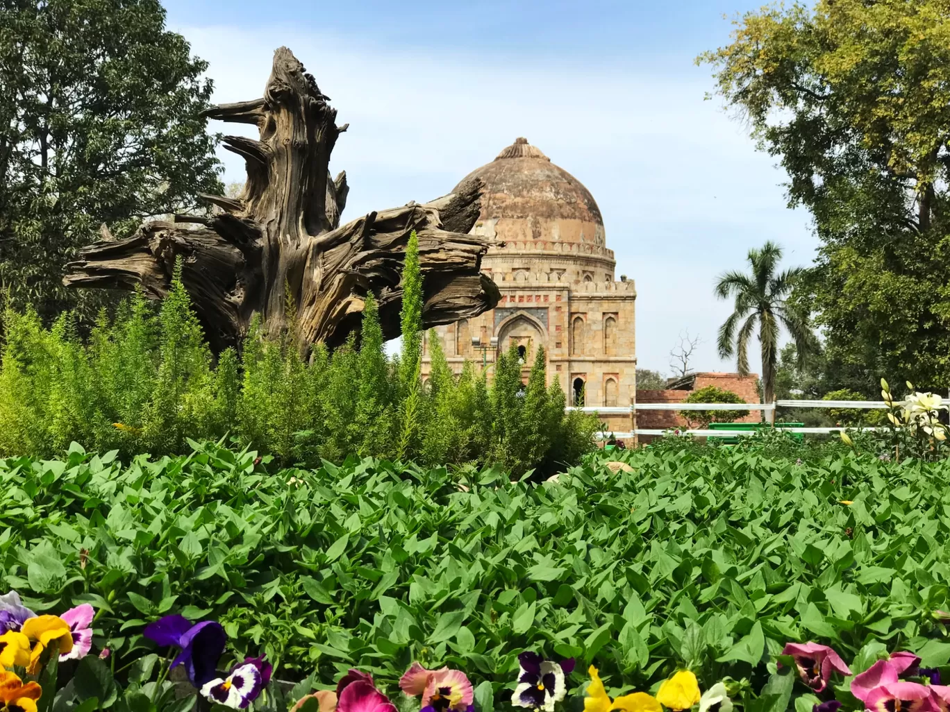 Photo of Delhi By Roving Traveller