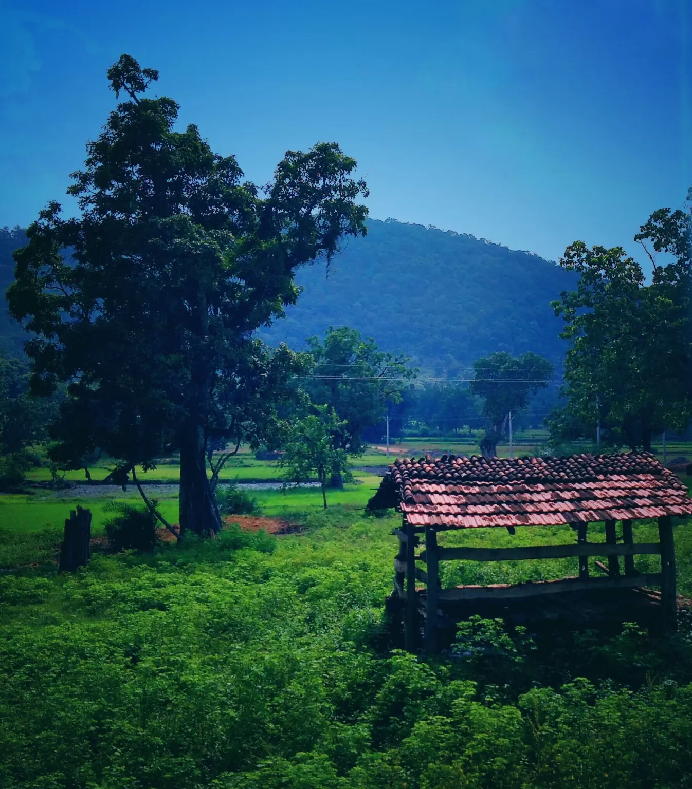 Photo of Chandrapur By Aswini kumar Biswal 