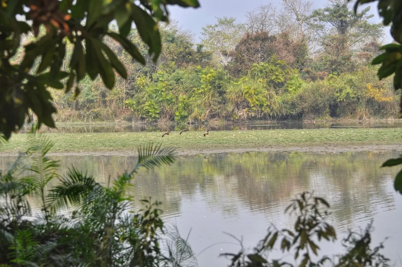 Photo of Kaziranga National Park By Sujoy Biswas