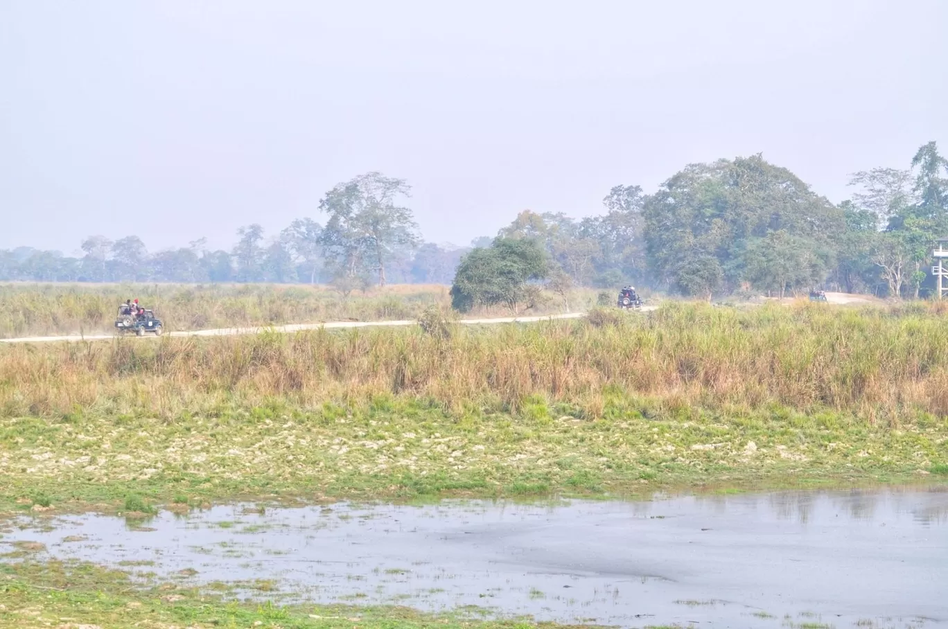 Photo of Kaziranga National Park By Sujoy Biswas