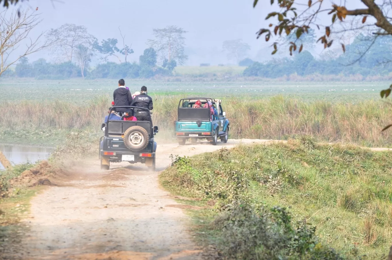 Photo of Kaziranga National Park By Sujoy Biswas