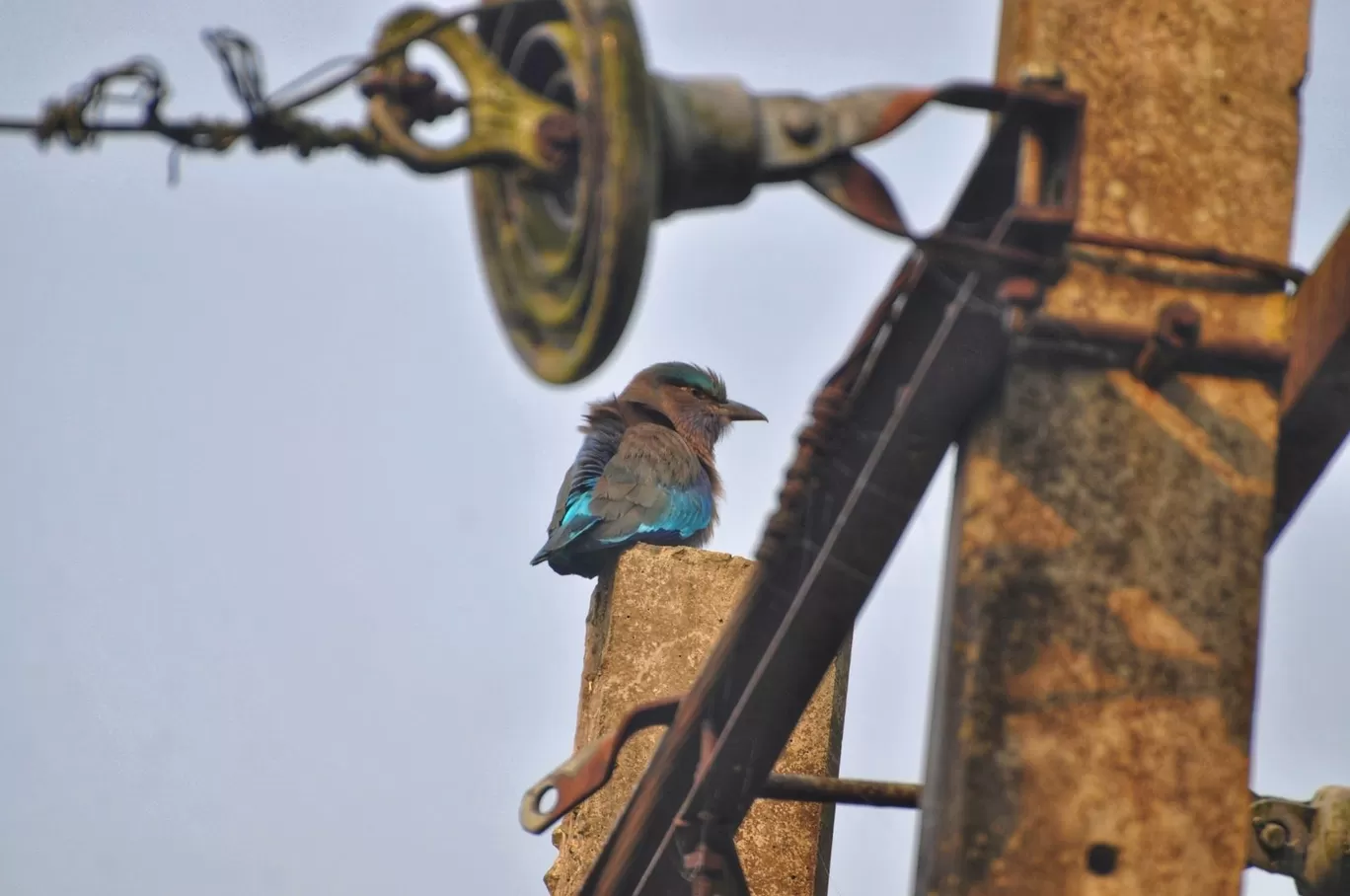 Photo of Kaziranga National Park By Sujoy Biswas