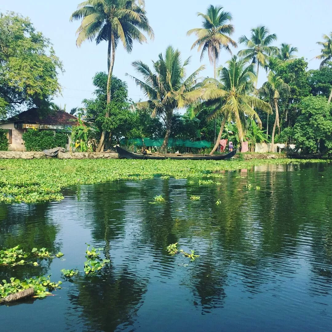 Photo of Kerala By Md Shibly