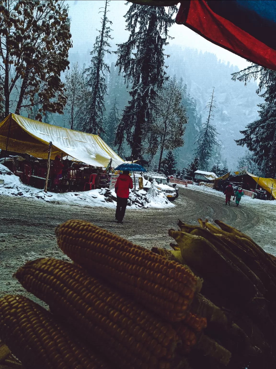 Photo of Solang Valley Adventures By nikitasuthar