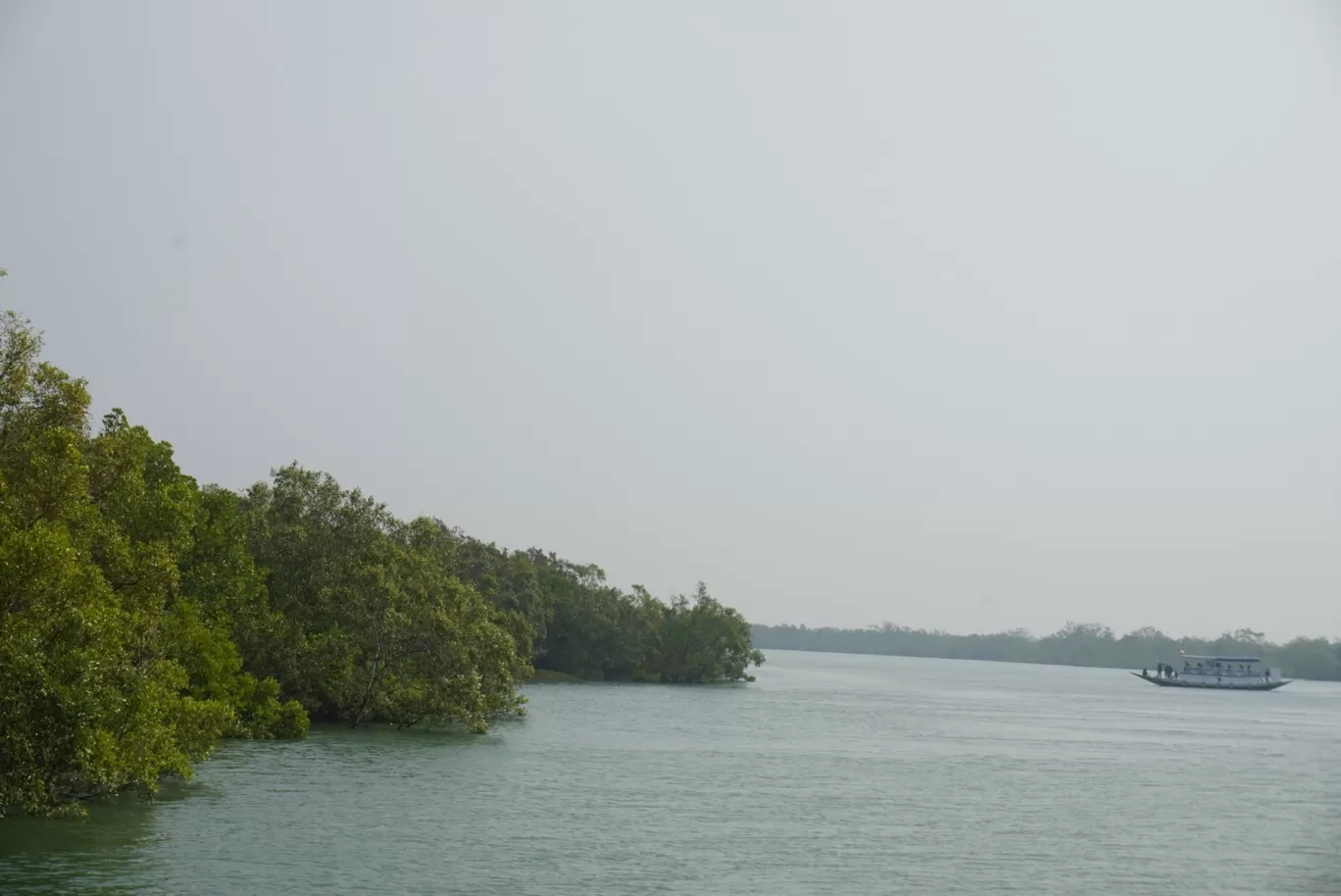 Photo of Sundarbans By nikitasuthar