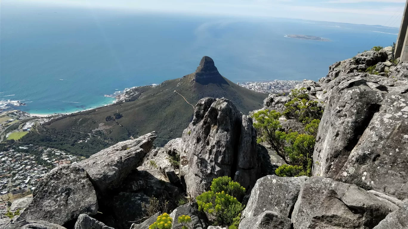 Photo of Cape Town By Aditya Malik