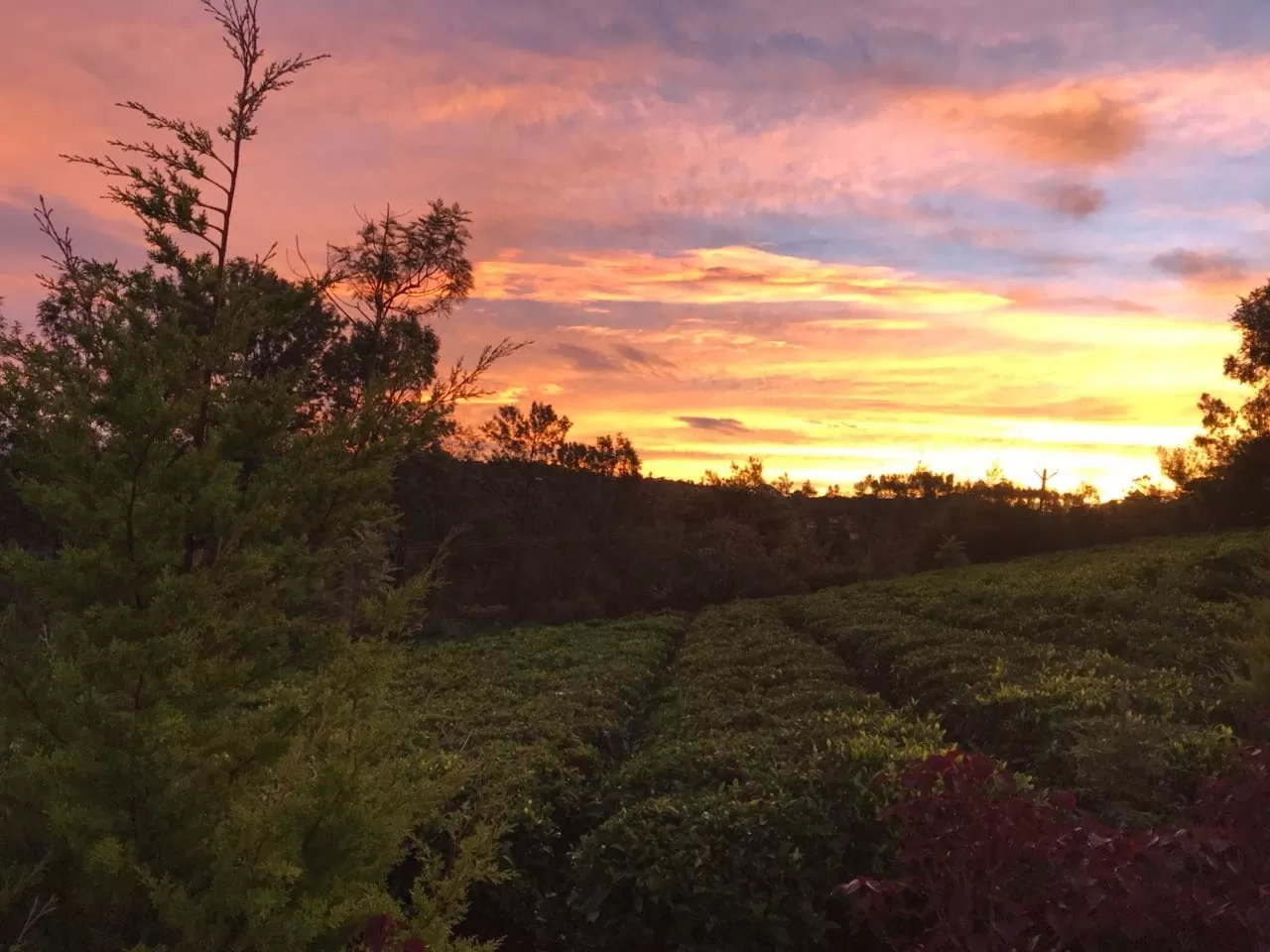 Photo of Kotagiri By Jyoti Chhajer