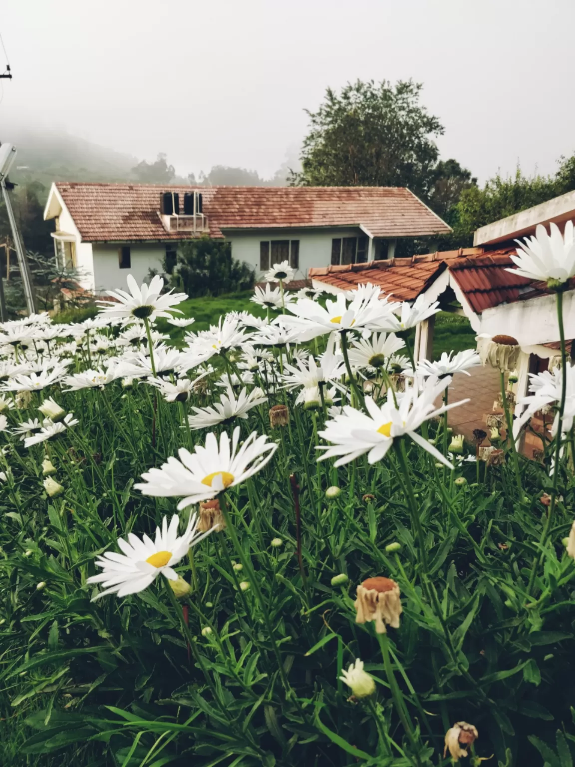 Photo of Kodaikanal By Jyoti Chhajer