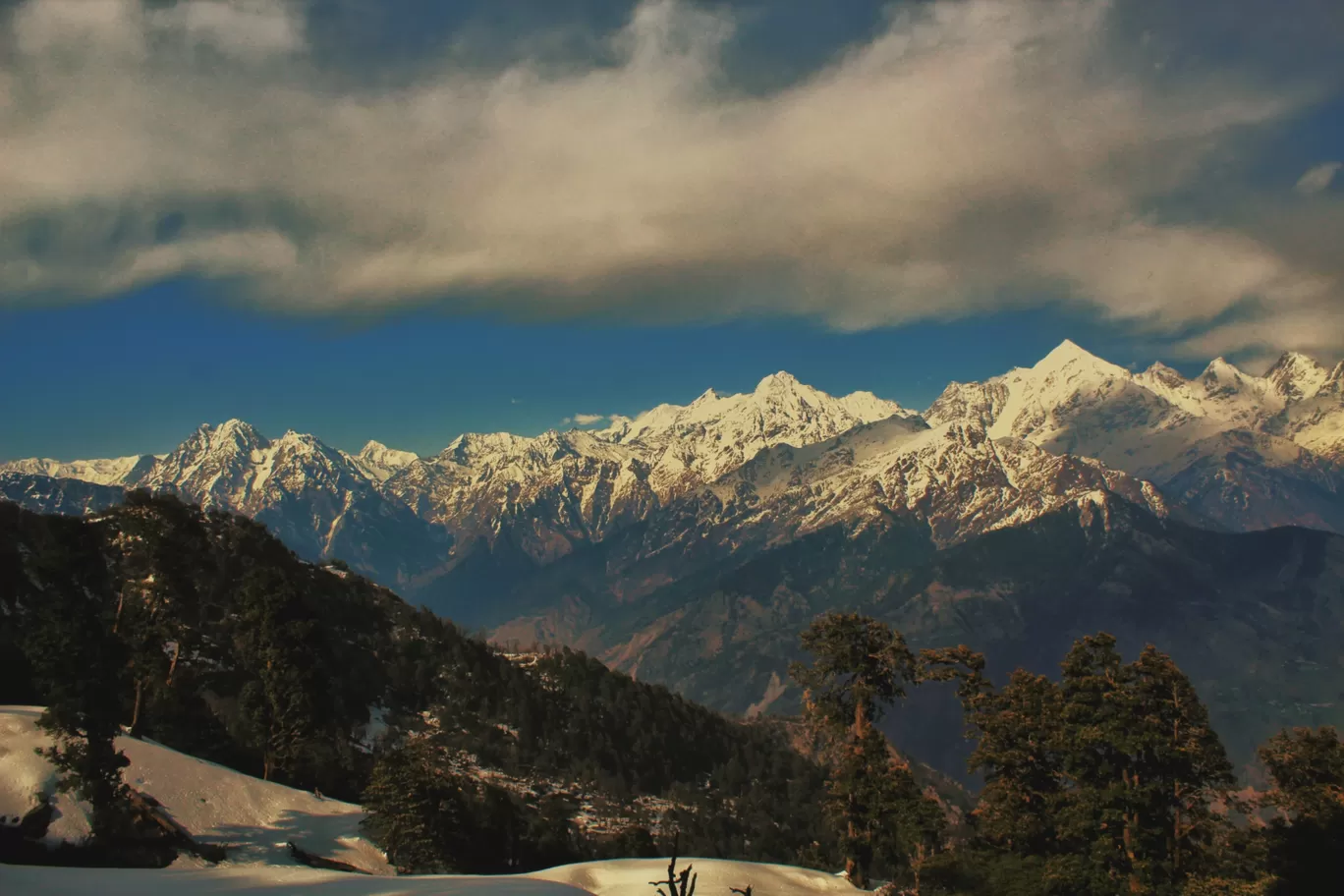 Photo of Khaliya Top By Raman Singh