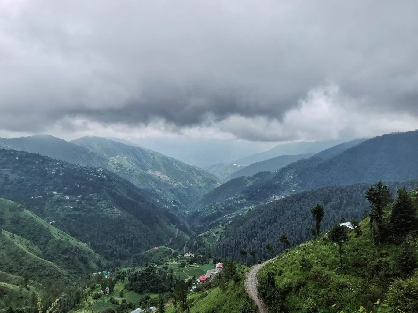 Photo of Kufri - Chail Road By Aman Kumar Vaid