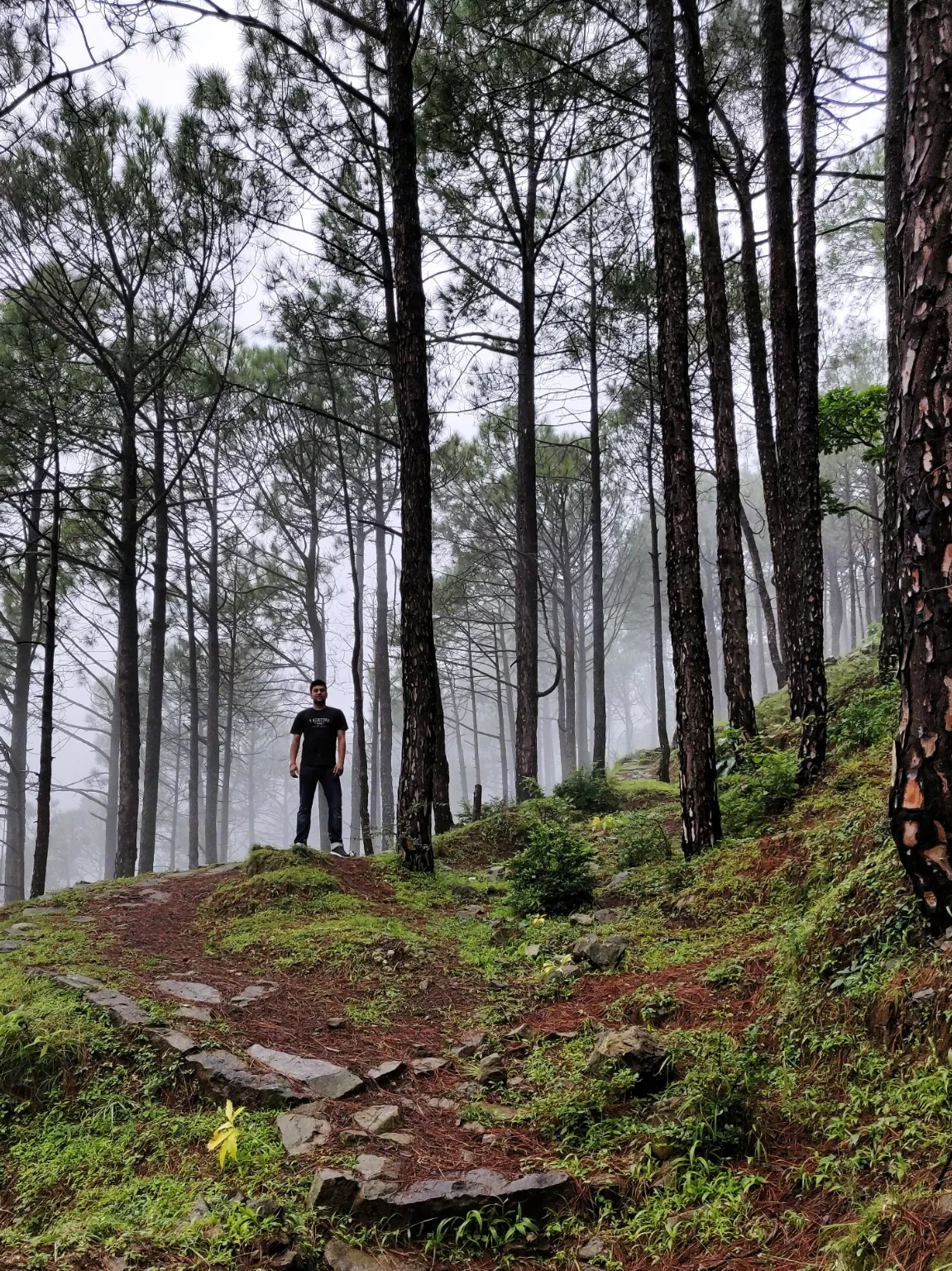 Photo of Kasauli By Aman Kumar Vaid