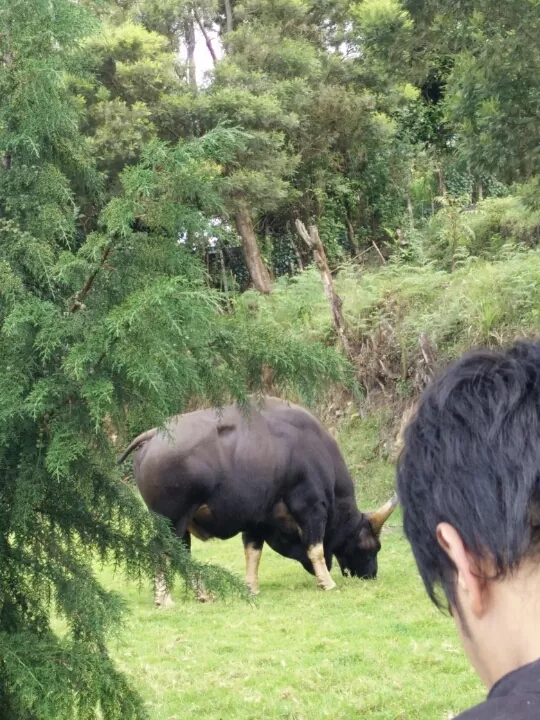 Photo of Unnamed Rd
Kodaikanal By Leyona Noronha