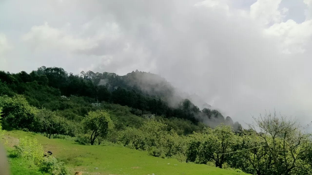 Photo of Unnamed Rd
Kodaikanal By Leyona Noronha