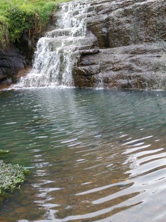 Photo of There's no wifi in the forest but I promise you will find a better connection :) By Leyona Noronha
