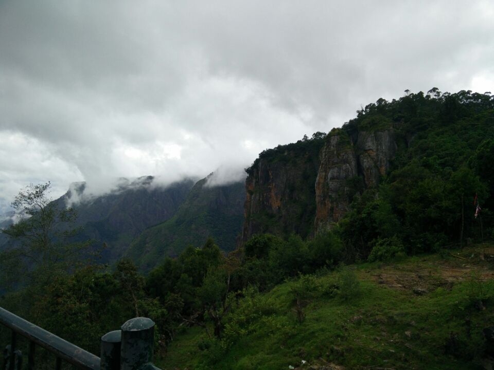 Photo of There's no wifi in the forest but I promise you will find a better connection :) By Leyona Noronha