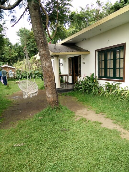 Photo of There's no wifi in the forest but I promise you will find a better connection :) By Leyona Noronha