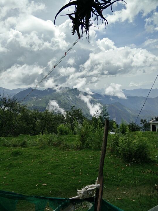 Photo of There's no wifi in the forest but I promise you will find a better connection :) By Leyona Noronha