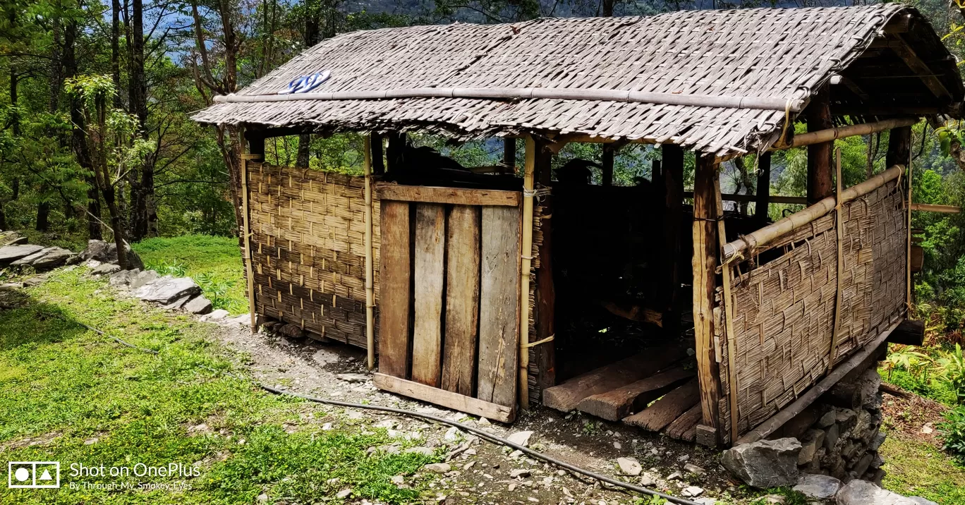 Photo of Borong-Polok Village Homestay By Ride with Som - The World You Like to Explore