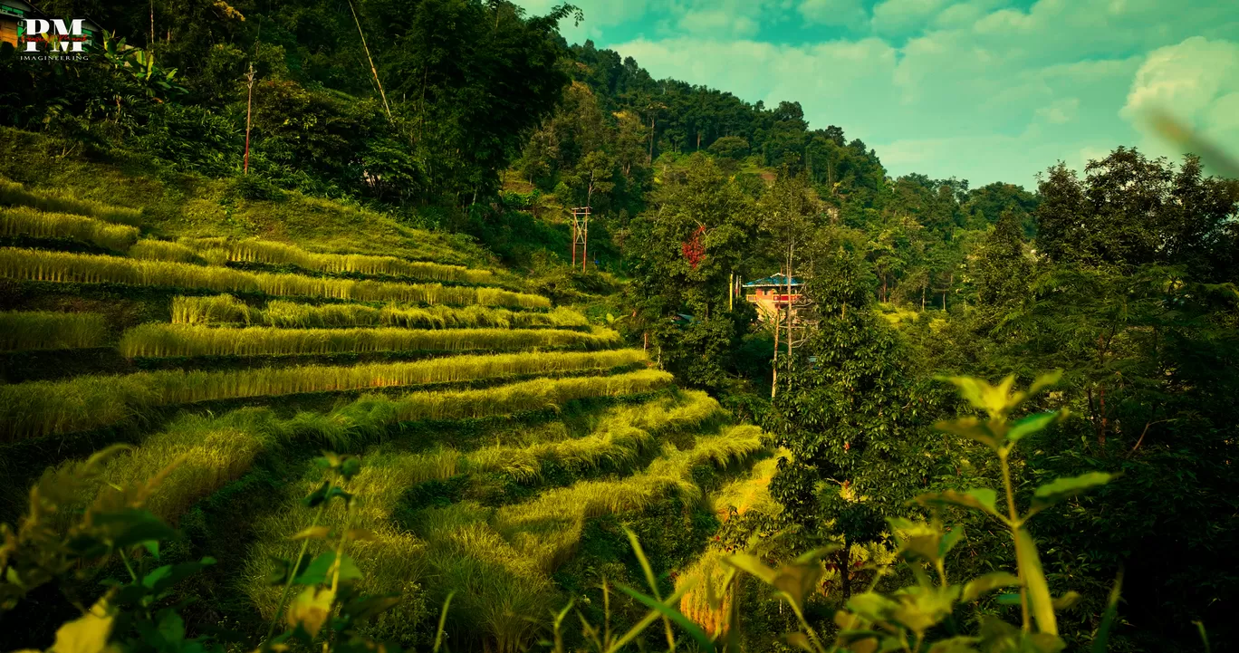 Photo of Kashone Khasmahal By Prasenjit Manik
