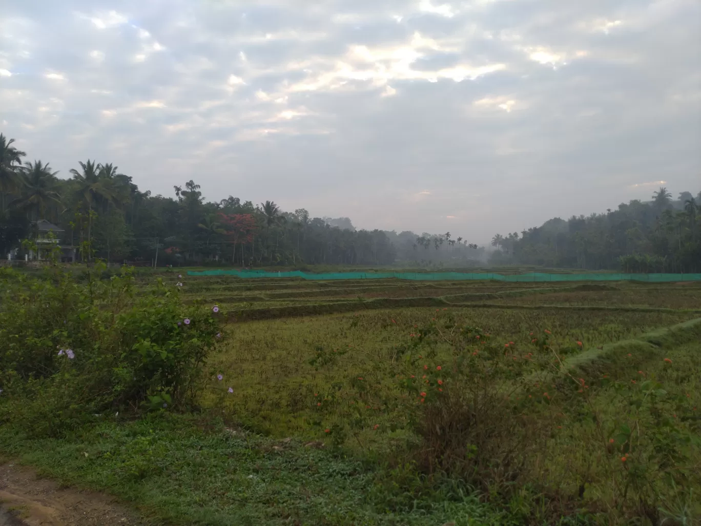 Photo of Ooty By Fenrir