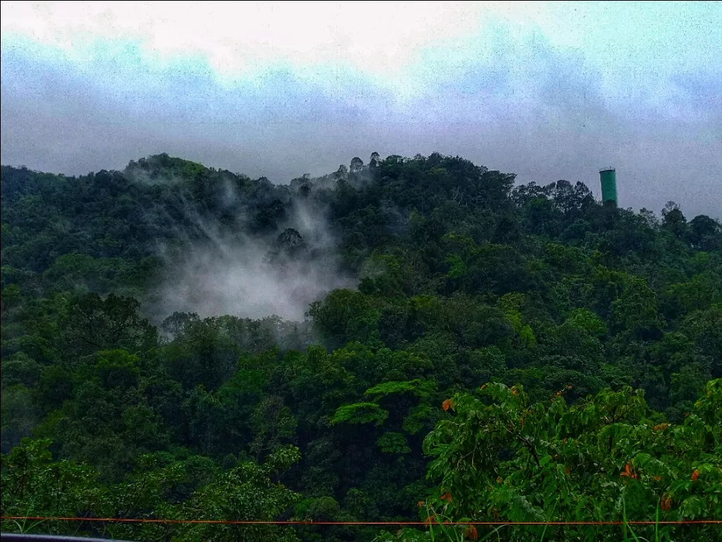 Photo of Mangalore By Fenrir