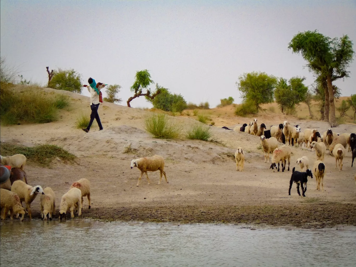 Photo of Sardarshahar By Nikhilesh Pareek