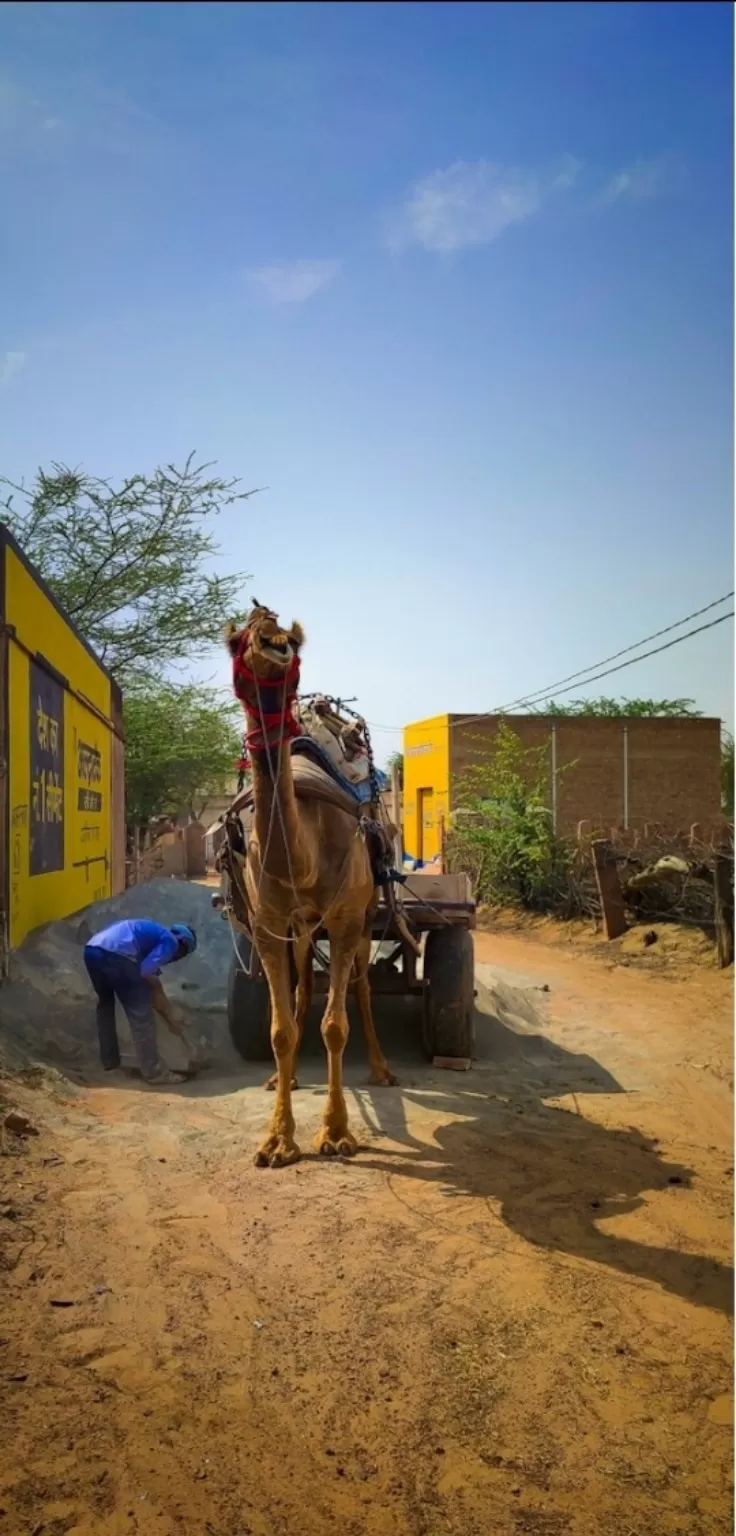 Photo of Sardarshahar By Nikhilesh Pareek