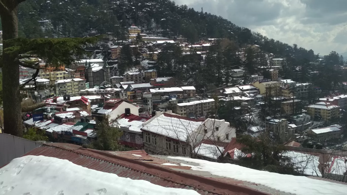 Photo of Shimla By BHAVPREET SINGH