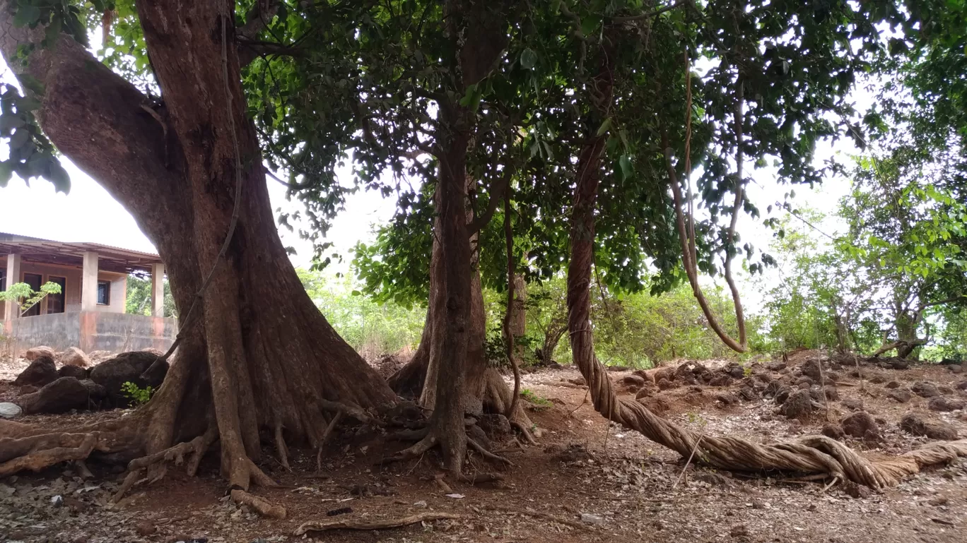 Photo of Srivardhan Beach By Nupur Agrawal