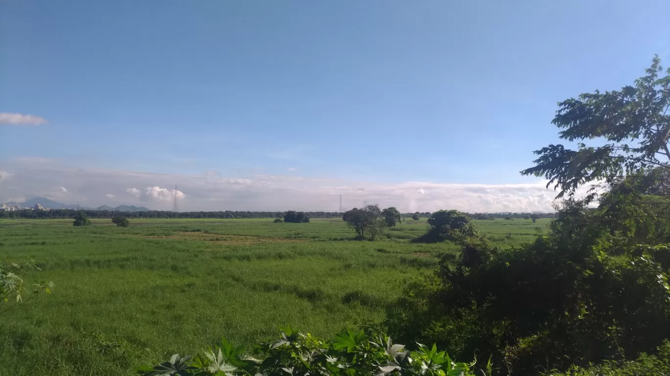 Photo of Sula Vineyards By Nupur Agrawal