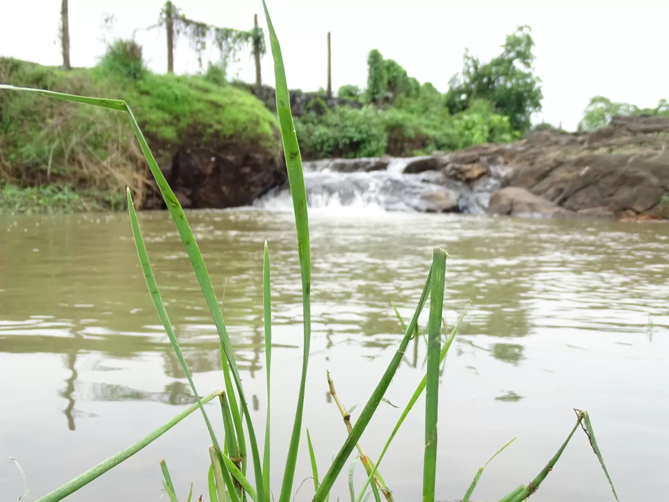 Photo of Virar By Nupur Agrawal