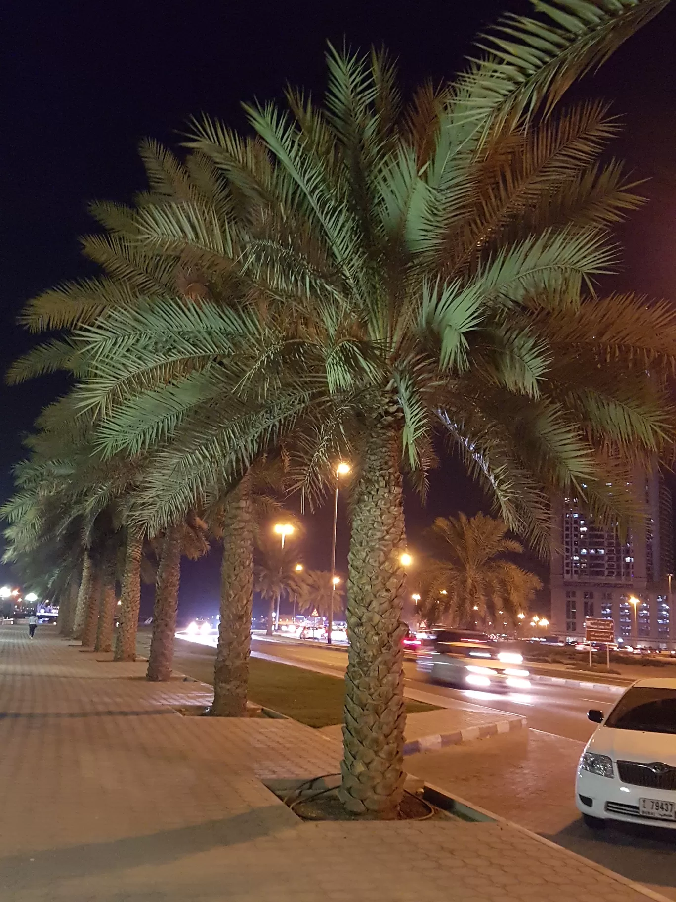 Photo of Sharjah By Pratik Gandhi