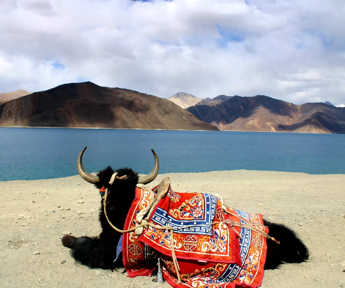 Photo of Pangong Lake By Tibet Trail Ladakh 