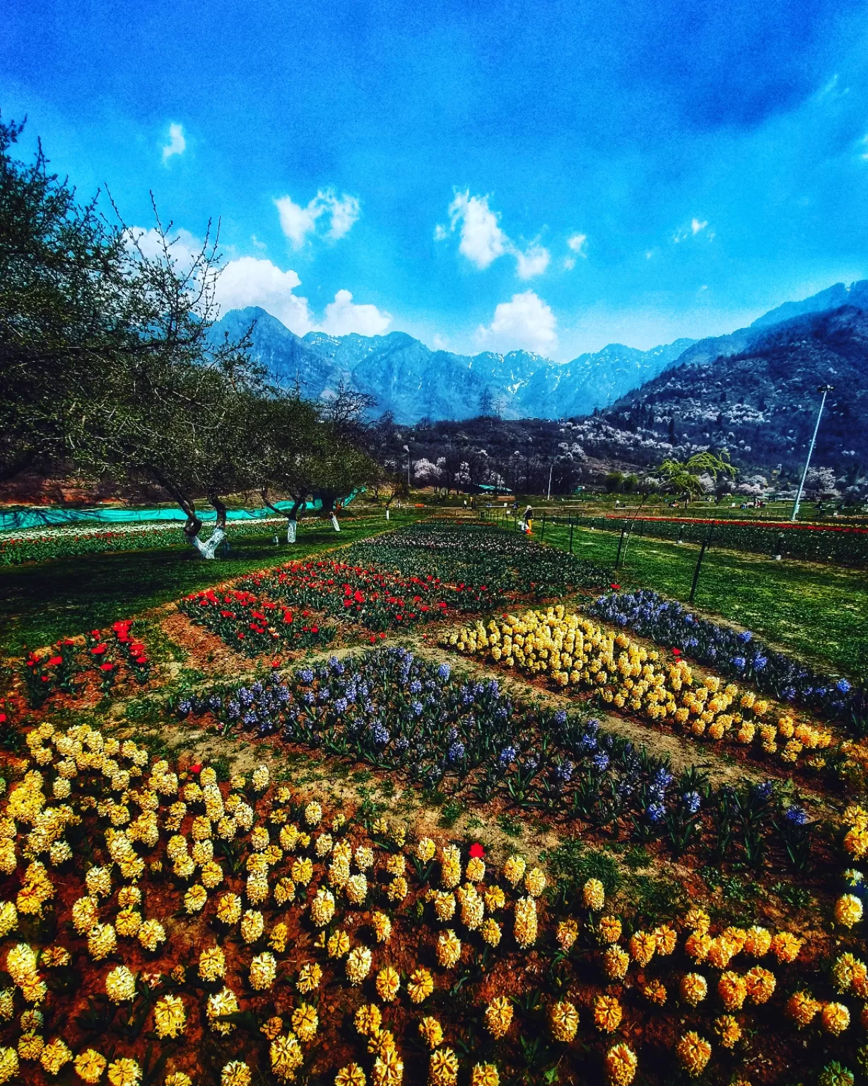 Photo of Jammu and Kashmir By Shalvi Dass