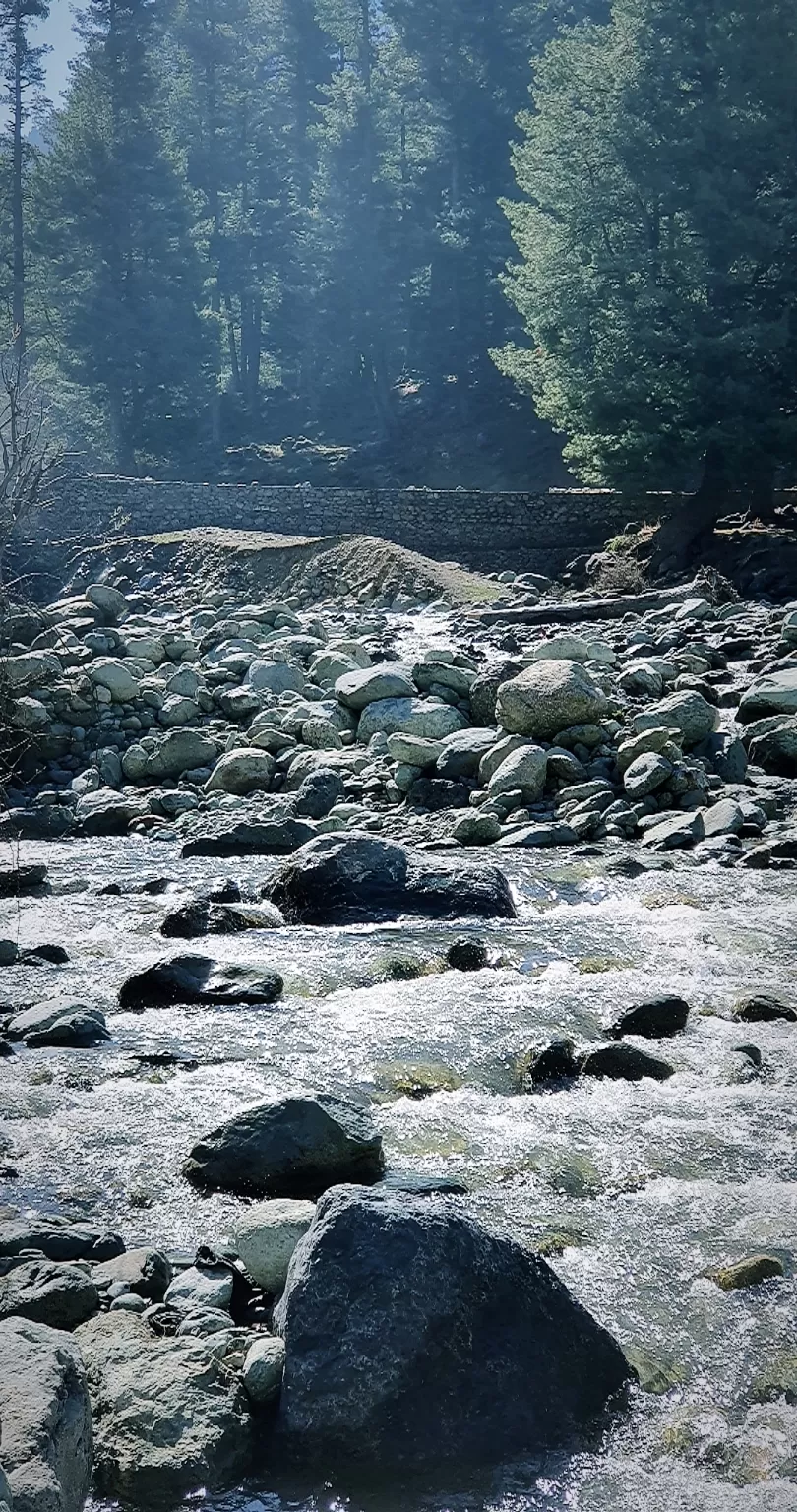 Photo of Jammu and Kashmir By Shalvi Dass