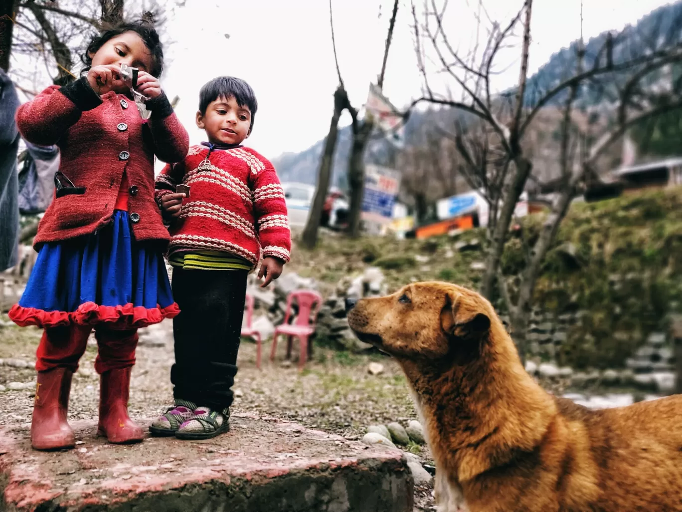 Photo of Himachal Pradesh By Atul Patil