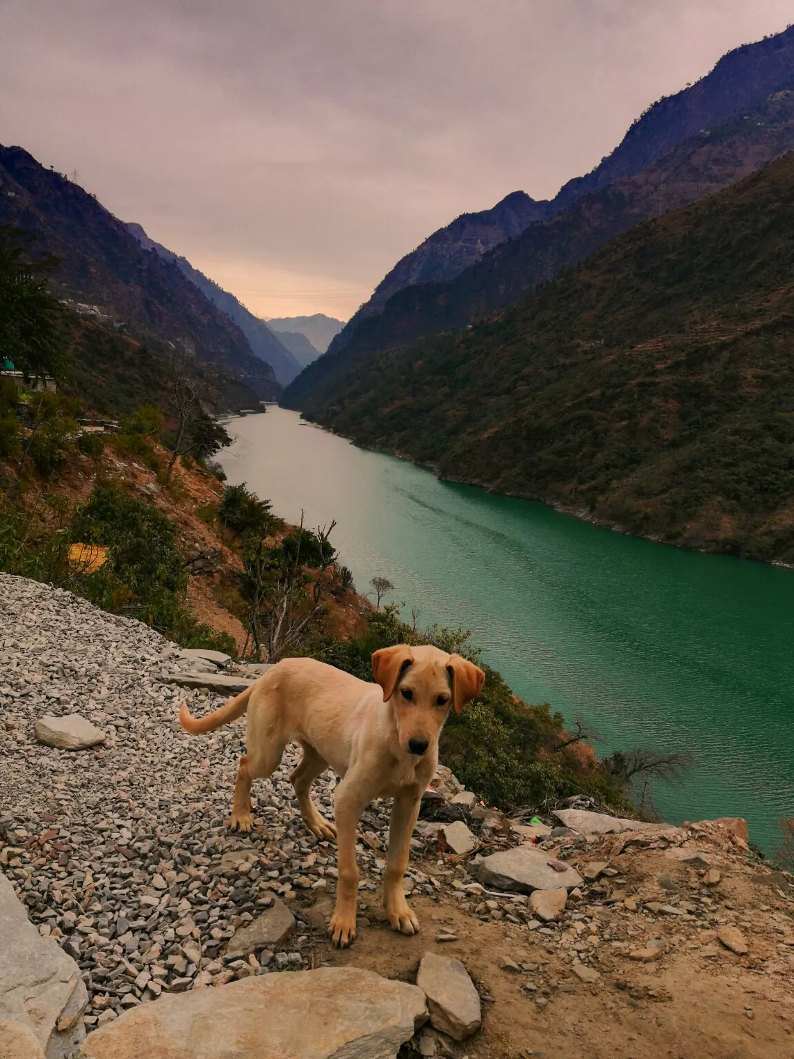 Photo of Himachal Pradesh By Atul Patil