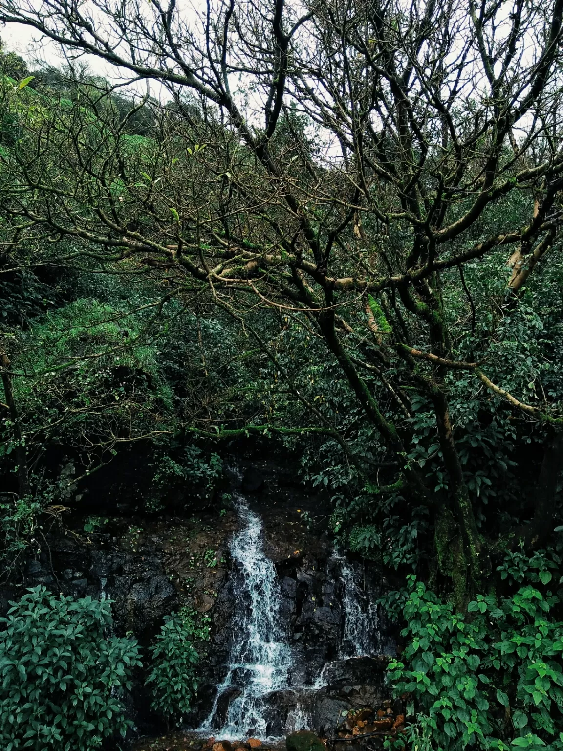 Photo of Pargad Fort By Atul Patil