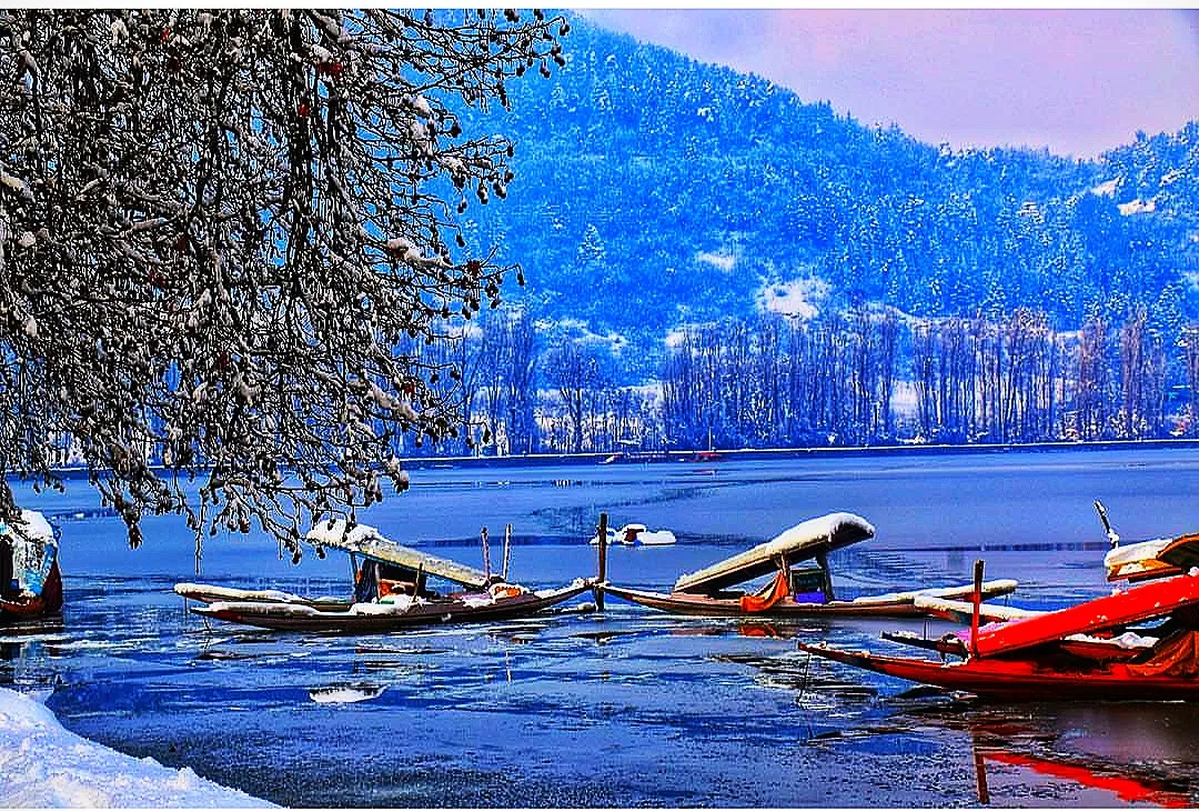 Photo of Dal Lake By Kashmir Downtown Travels