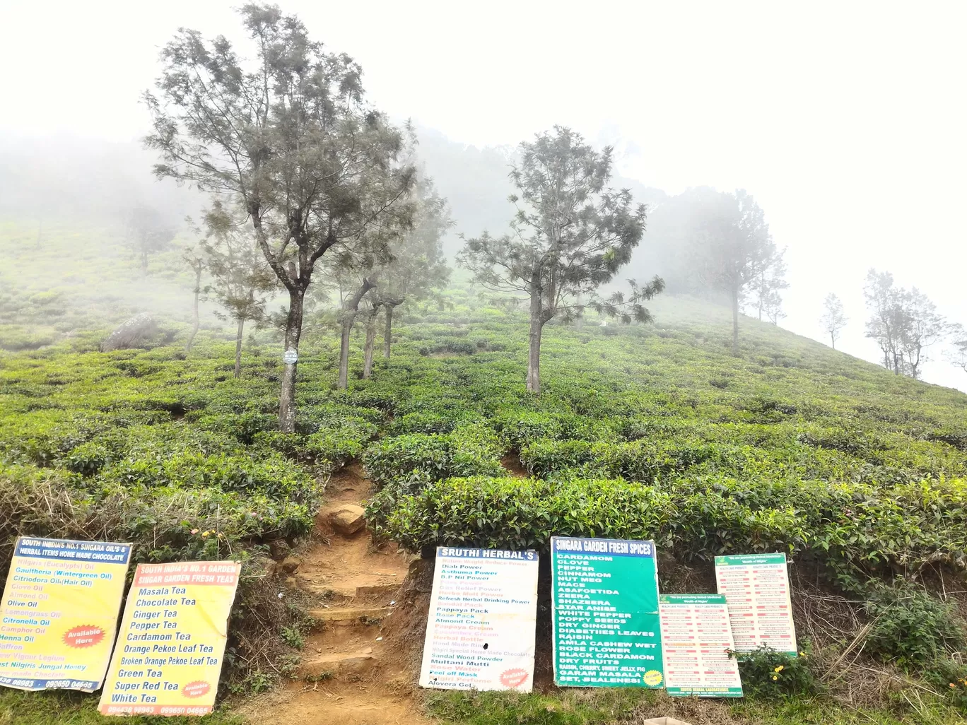 Photo of Ooty By Alakesh Dutta