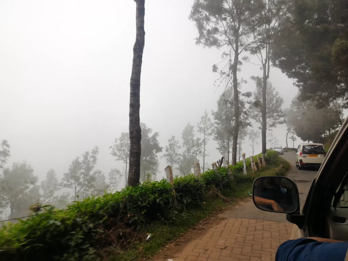 Photo of Ooty By Alakesh Dutta